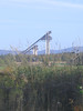 ussa > The 1980 Olympic Ski Jumps with the Adirondack Mountains Sentinal Range in the background (credit: USSA)